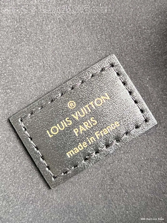 Aaa replica bags 11.5 x 6.5 x CM Pouch-19 Vanity VUITTON Chain LOUIS 0809